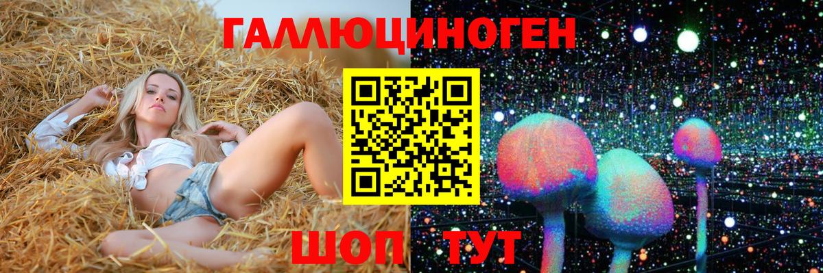 Псилоцибиновые грибы Psilocybine cubensis Грязи